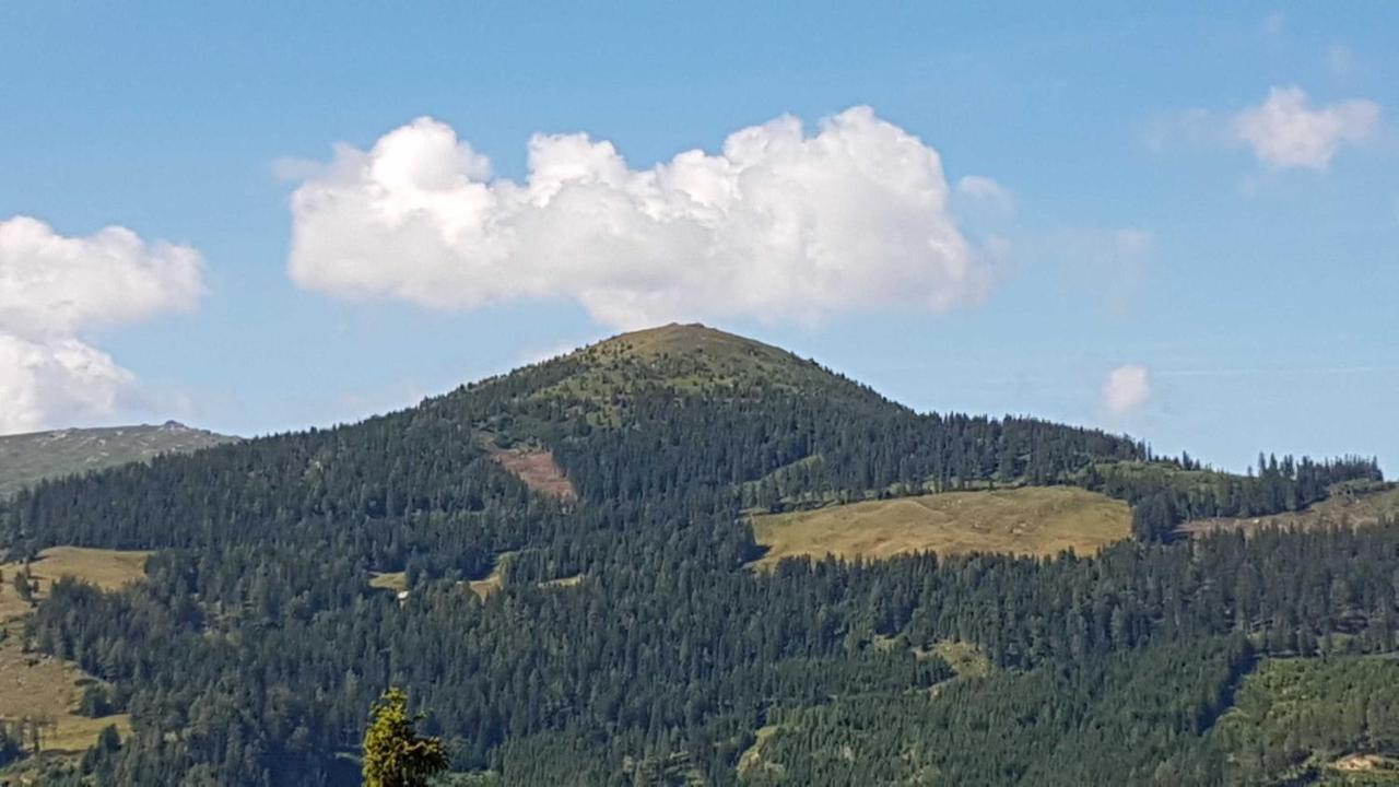Ferienhaus Murmeltier Am Klippitztoerl Klippitztorl Dış mekan fotoğraf
